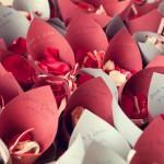 Nos vamos de boda con Calista!