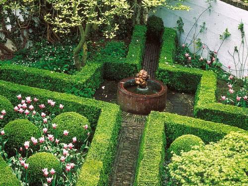 jardín-con-forma-de-aspa