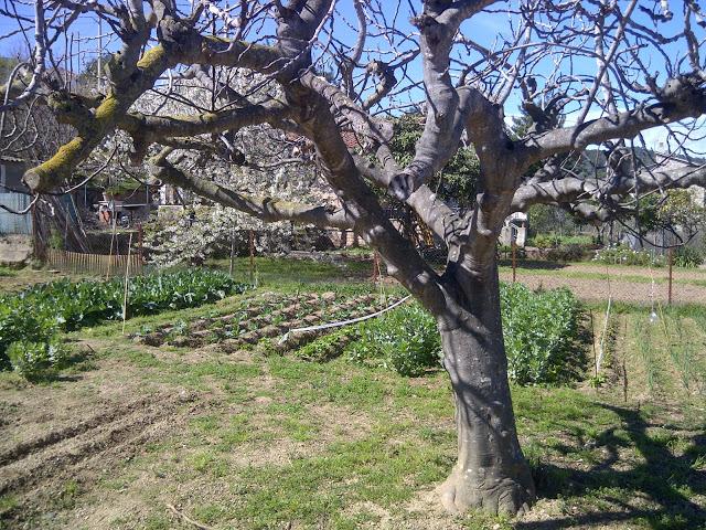 Hoy te voy a llevar al huerto