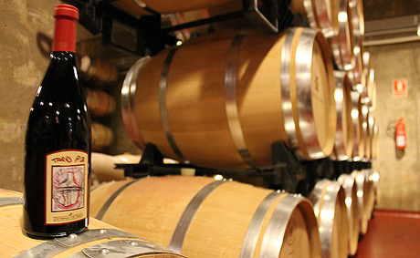 Dominio de Tares presenta la nueva añada del “Tares P3″, el gran ‘selecto’ 20130133_012