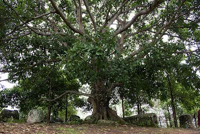 U.X.O. Artilleria y Jarras