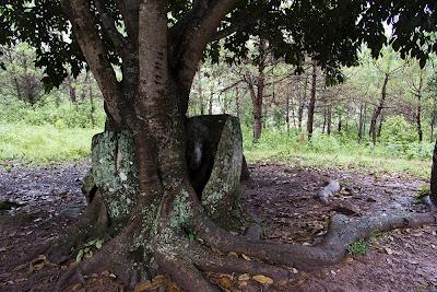 U.X.O. Artilleria y Jarras