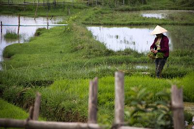 U.X.O. Artilleria y Jarras