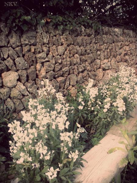 Ya empieza Ya empieza