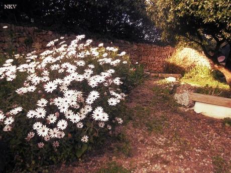 Ya empieza Ya empieza