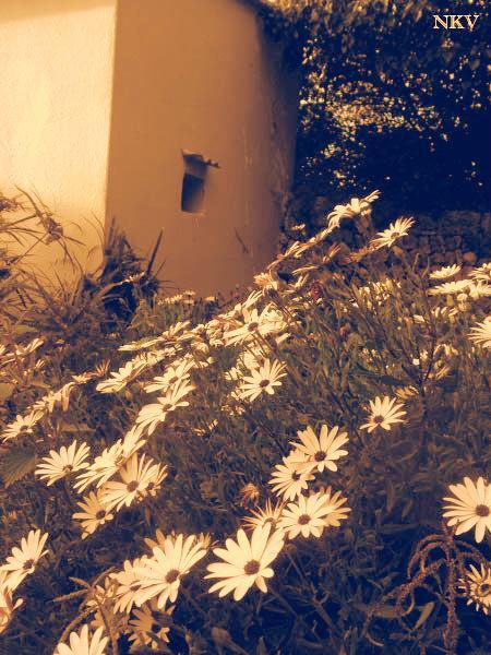 Ya empieza Ya empieza