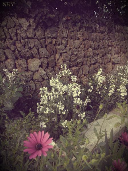 Ya empieza Ya empieza