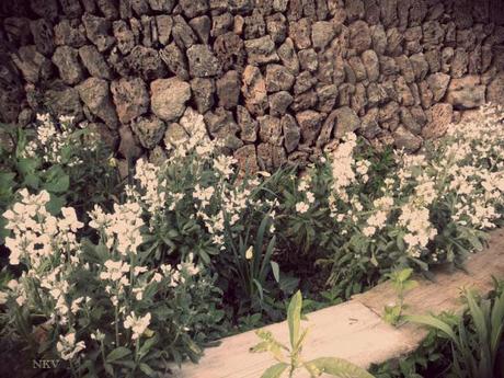 Ya empieza Ya empieza