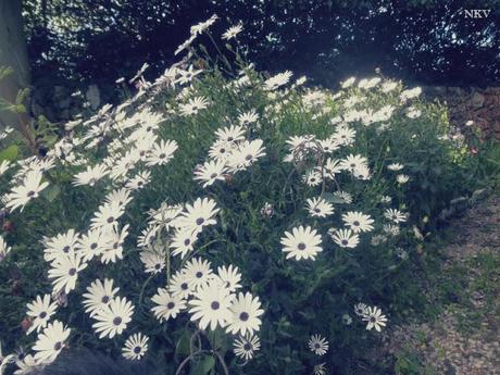 Ya empieza Ya empieza