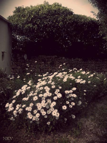 Ya empieza Ya empieza