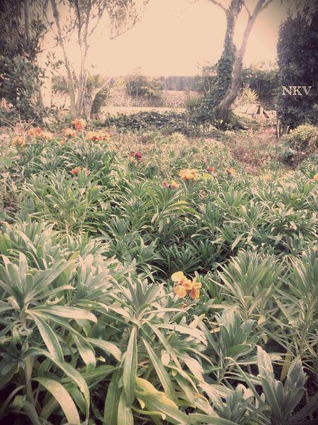 Ya empieza Ya empieza