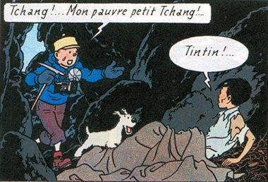 El bravo Tintín nunca cedió al desánimo para encontrar a su querido amigo Tchang al que todos daban por muerto.