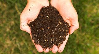 compost