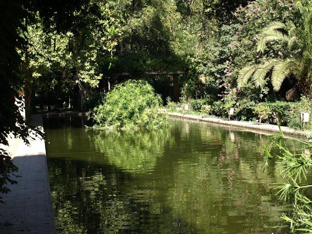 El Estanque de los Lotos.