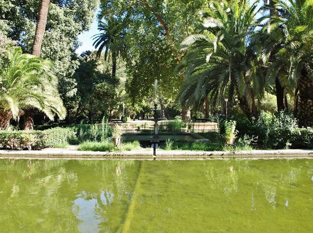 El Estanque de los Lotos.