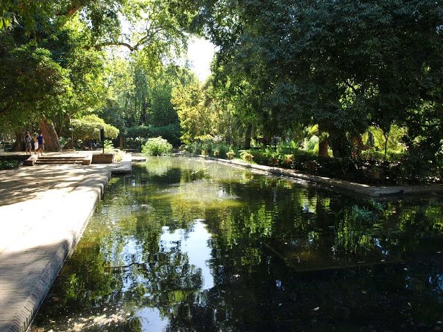 El Estanque de los Lotos.