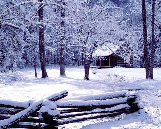 Un día, la nieve no dejo de caer... (Reseña)
