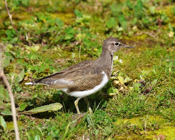Los últimos, y los primeros.