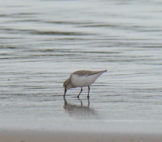 Los últimos, y los primeros.