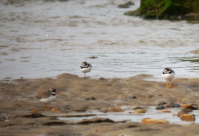 Los últimos, y los primeros.