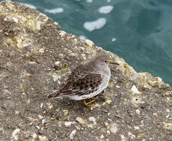 Los últimos, y los primeros.