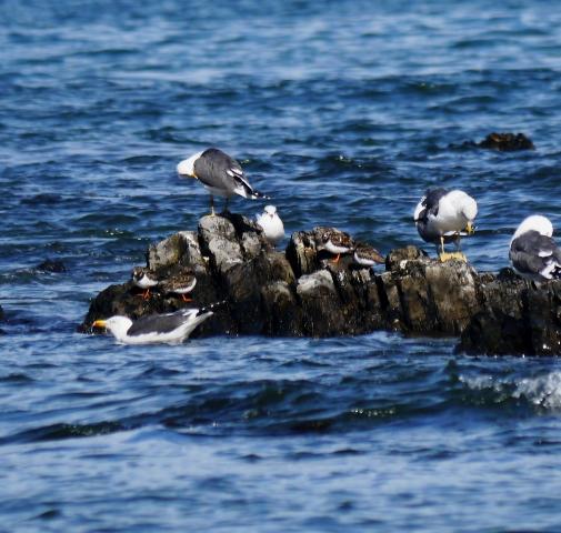 Los últimos, y los primeros.