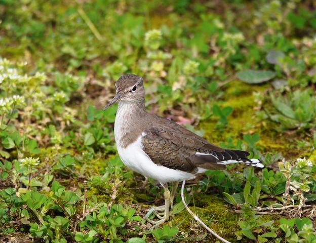 Los últimos, y los primeros.