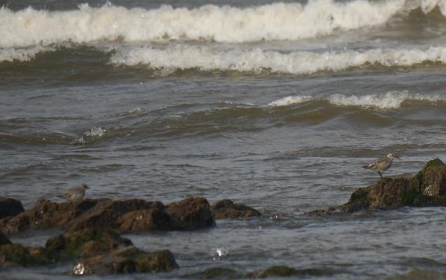 Los últimos, y los primeros.