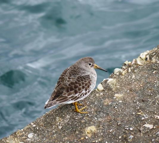Los últimos, y los primeros.