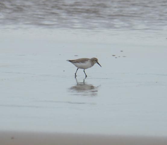 Los últimos, y los primeros.