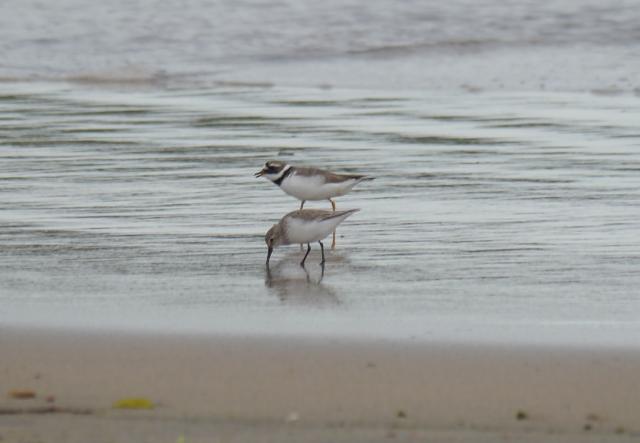 Los últimos, y los primeros.