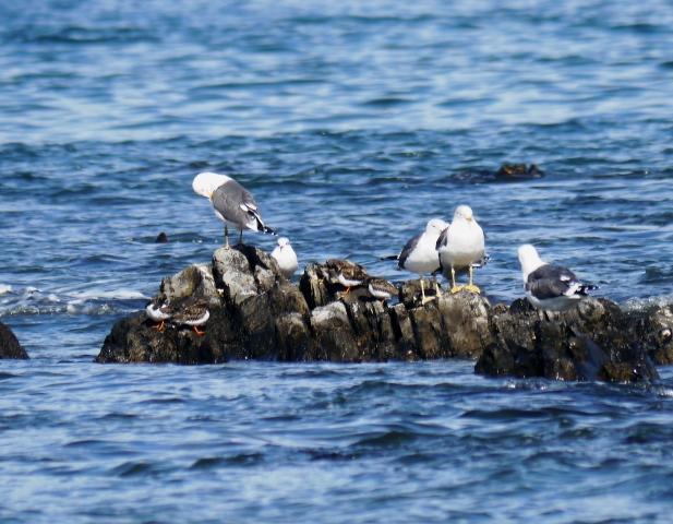 Los últimos, y los primeros.