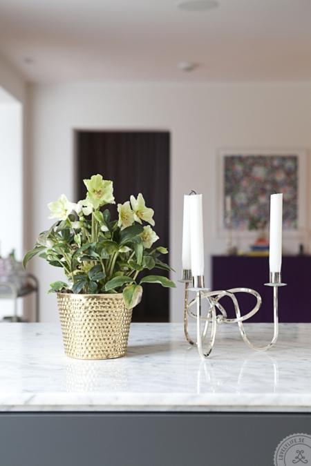 walking closet vestidor decoración suelo de roble espigado sillas de diseño sillas ch 24 silla tonet portavelas metal candelabros decoración diseño oficina en casa muebles de diseño mueble bar decoración mesa tulip lugar trabajo en casa lámparas de diseño lampara arco Hans J. Wegner Carl Hansen sillas ch 24 estilo nórdico estanterías decoración encimera marmol cocina diseño diseño de interiores design letters tazas decorar casas decoración habitaciones infantiles decoración de interiores cocina sin tiradores cocina negra cocina moderna cocina de diseño Carl HansenCH 24 cajas hay blog interiores blog decoración nórdica blog decoración bakers twine alfombras de diseño 