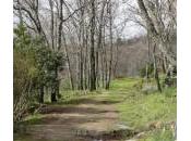 Camino. Centro Turismo Rural