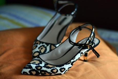  photo DSC_3663_zps375cb77e.jpg