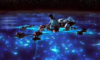 La vida de Pi: Ilusión y verdad