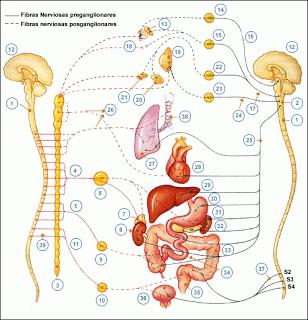 Todo sobre la anestesia epidural en la cesárea [1]