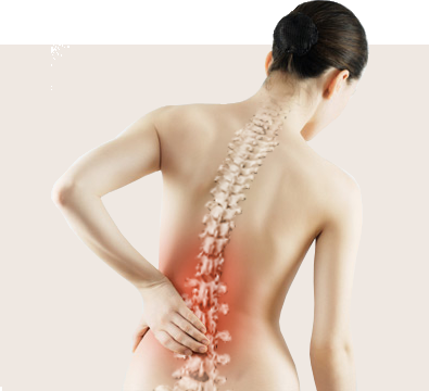 Plantas para aliviar los dolores de huesos