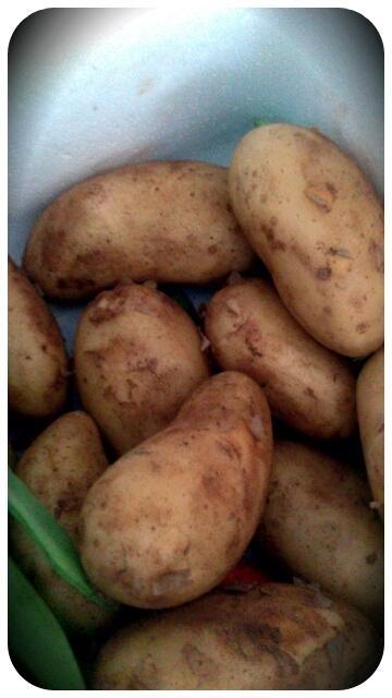 COMEFRUTA MUCHA FRUTA FRESCA y SORTEO!!!!!