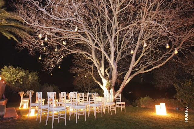 LOVE&WEDDINGS;: decoración de exterior