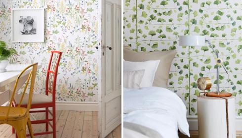 Linnea by sandberg 2