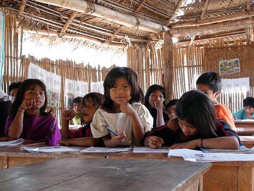 Educación y diversidad en la amazonía