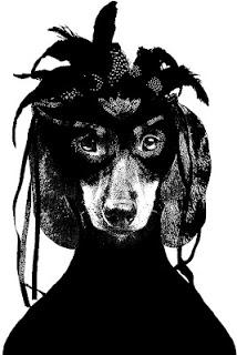 Tras la pista de Lisa Bengtsson