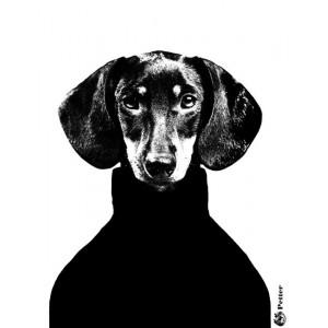 Tras la pista de Lisa Bengtsson