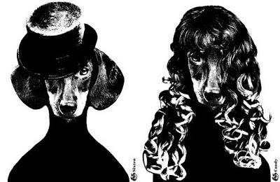 Tras la pista de Lisa Bengtsson