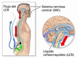Todo sobre la anestesia epidural en la cesárea [4]