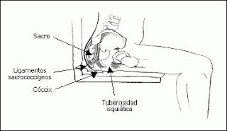 Todo sobre la anestesia epidural en la cesárea [4]