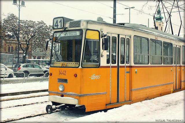 Budapest: Amanecer de un día nevado