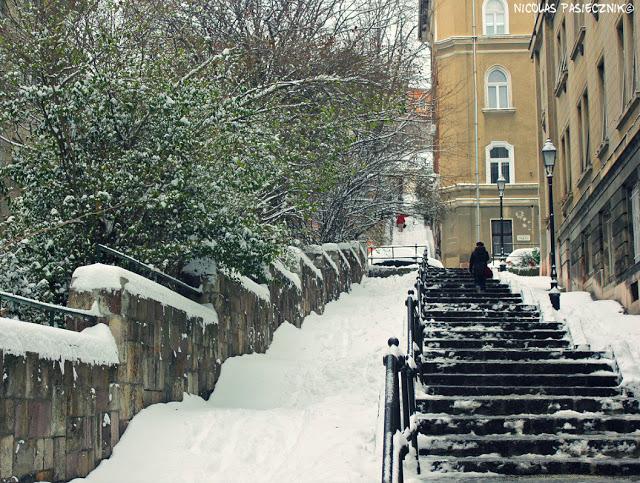 Budapest: Amanecer de un día nevado