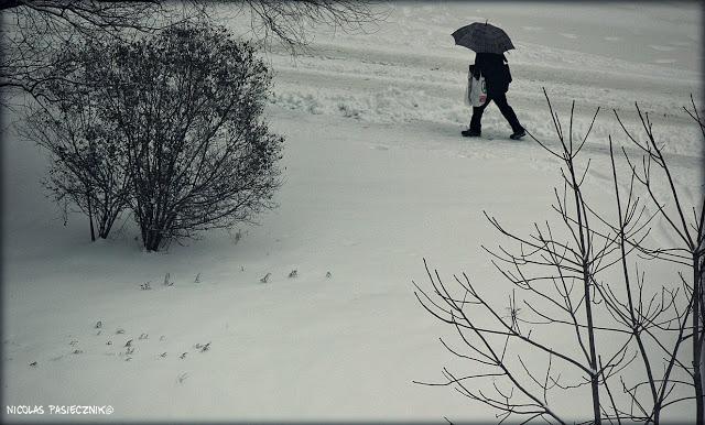 Budapest: Amanecer de un día nevado